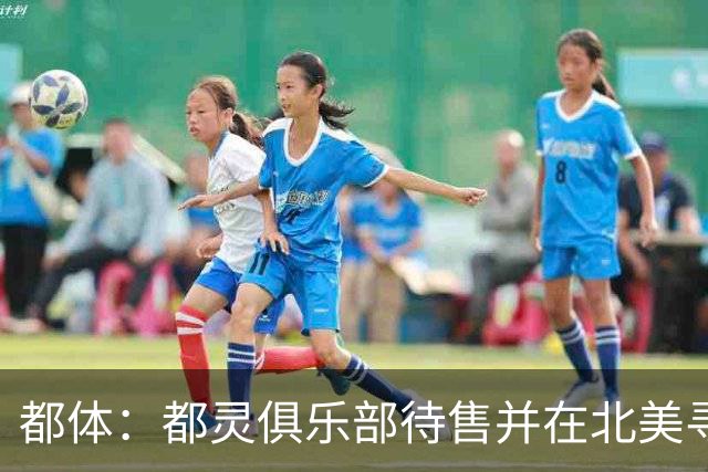 都体：都灵俱乐部待售并在北美寻找买家，老板卡伊罗估价2.5亿欧